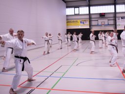 koshinkatag_50_10_20230501_1834613547