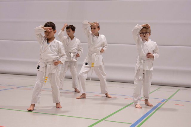 lehrgang_16112024_2_99_20241122_1101845664